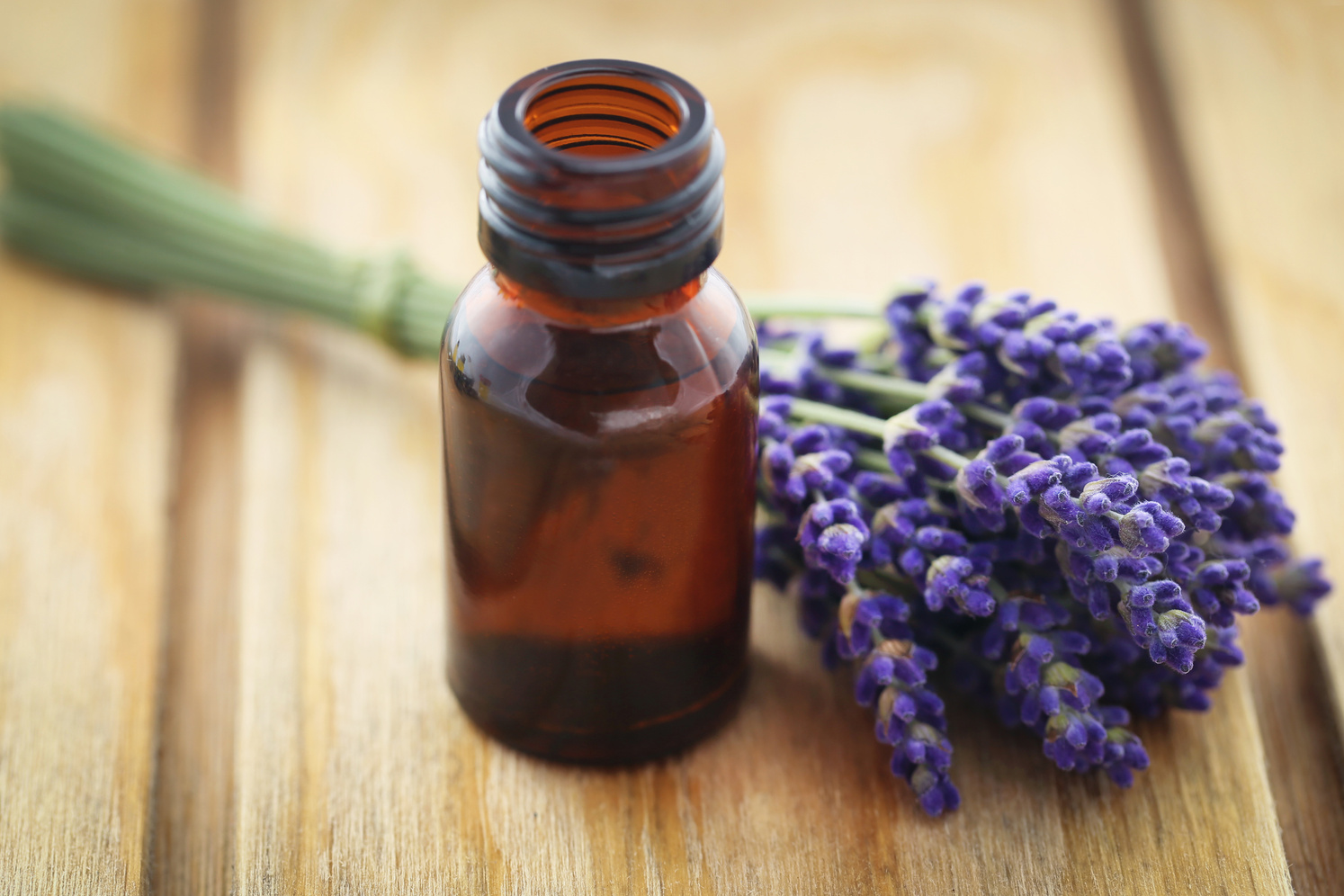 Lavender Oil with Flower